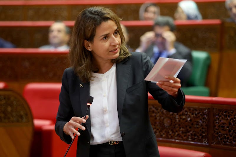 المحروقات وإصلاح مكتب الكهرماء وتنفير المستثمرين.. ملفات تحاصر بنعلي بالبرلمان