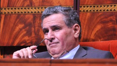أخنوش: المغرب يمضي قدما في تحقيق السيادة الدوائية الوطنية