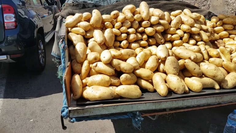 أسعار البطاطس تواصل الإرتفاع في الأسواق المغربية