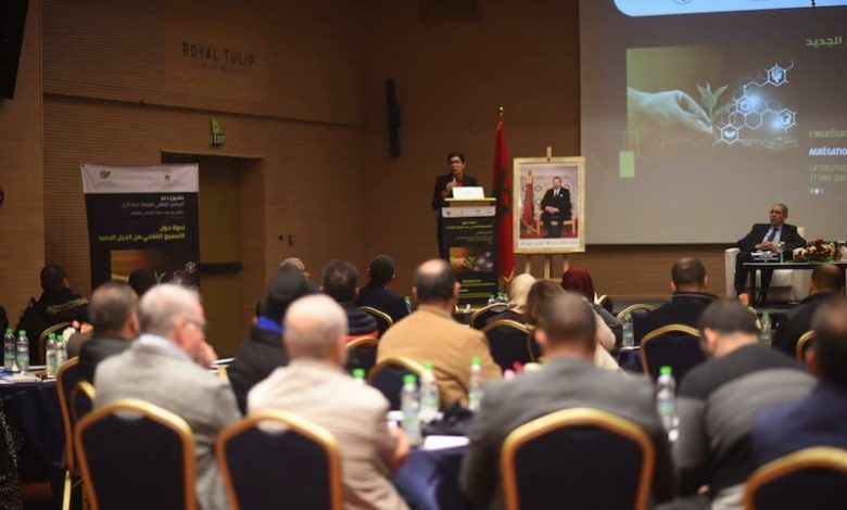 تأهيل مشروع التّجميع الفلاحي من الجيل الجديد يجمع مسؤولين ومهنيين في طنجة تأهيل مشروع التّجميع الفلاحي من الجيل الجديد يجمع مسؤولين ومهنيين في طنجة