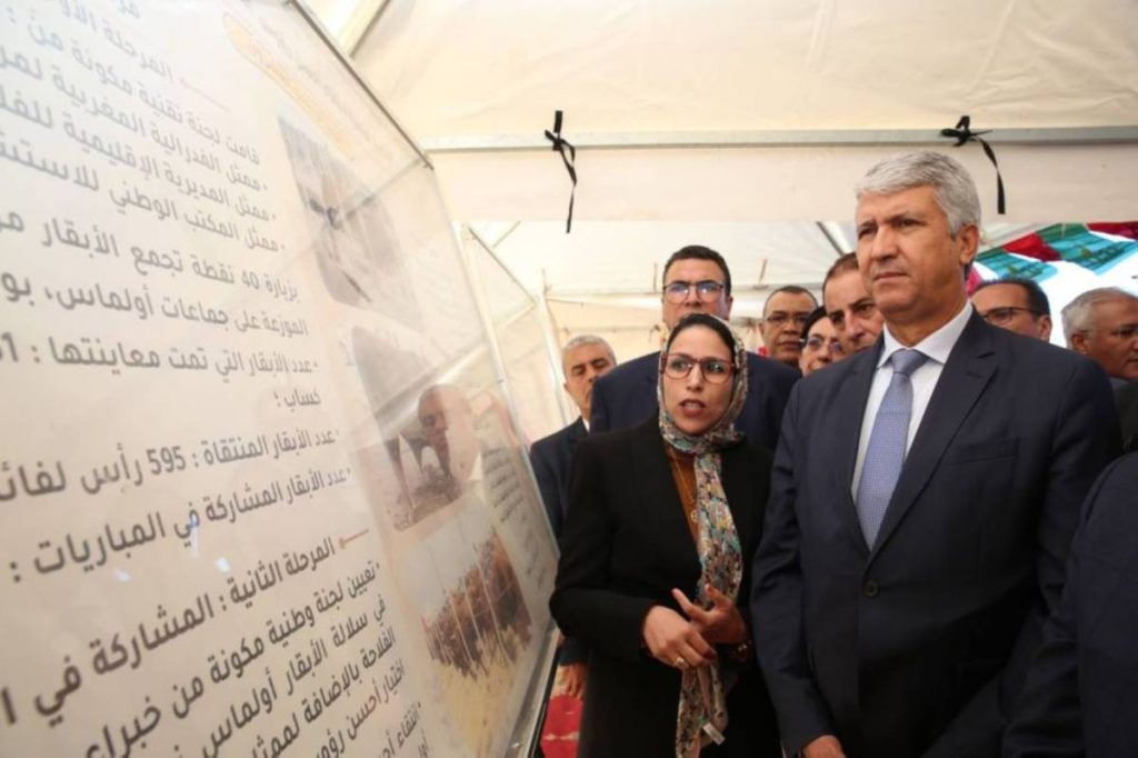 أولماس.. التوقيع على اتفاقية لتنفيذ برنامج حماية وتنمية سلالة الأبقار "والماس زعير" أولماس.. التوقيع على اتفاقية لتنفيذ برنامج حماية وتنمية سلالة الأبقار "والماس زعير"