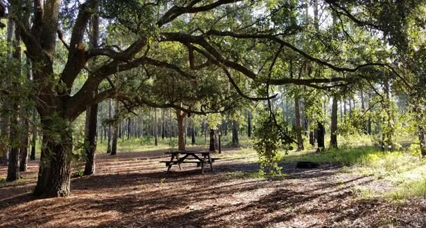 إفران: إعطاء انطلاقة أول برنامج للتعاون الدولي في إطار استراتيجية "غابات المغرب 2020-2030"