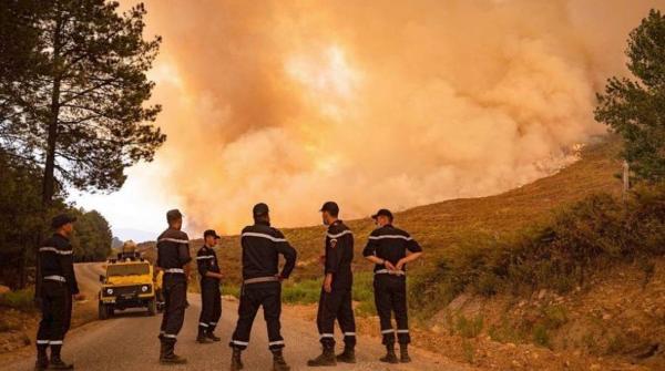إقليم شفشاون.. التحكم "نسبيا وبشكل عام" في محيط النيران بالمنطقة الغابوية بجماعتي تاسيفت وتلمبوط (مصادر محلية)