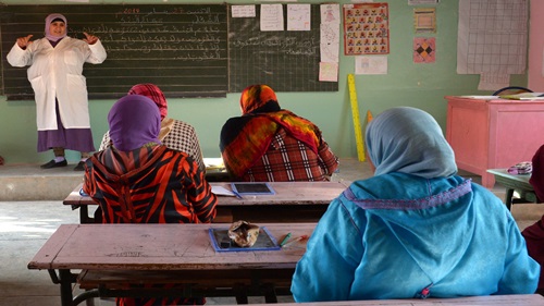 الإعلان عن اعتماد خارطة طريق جديدة لخفض معدل الأمية والقضاء عليها بحلول 2029