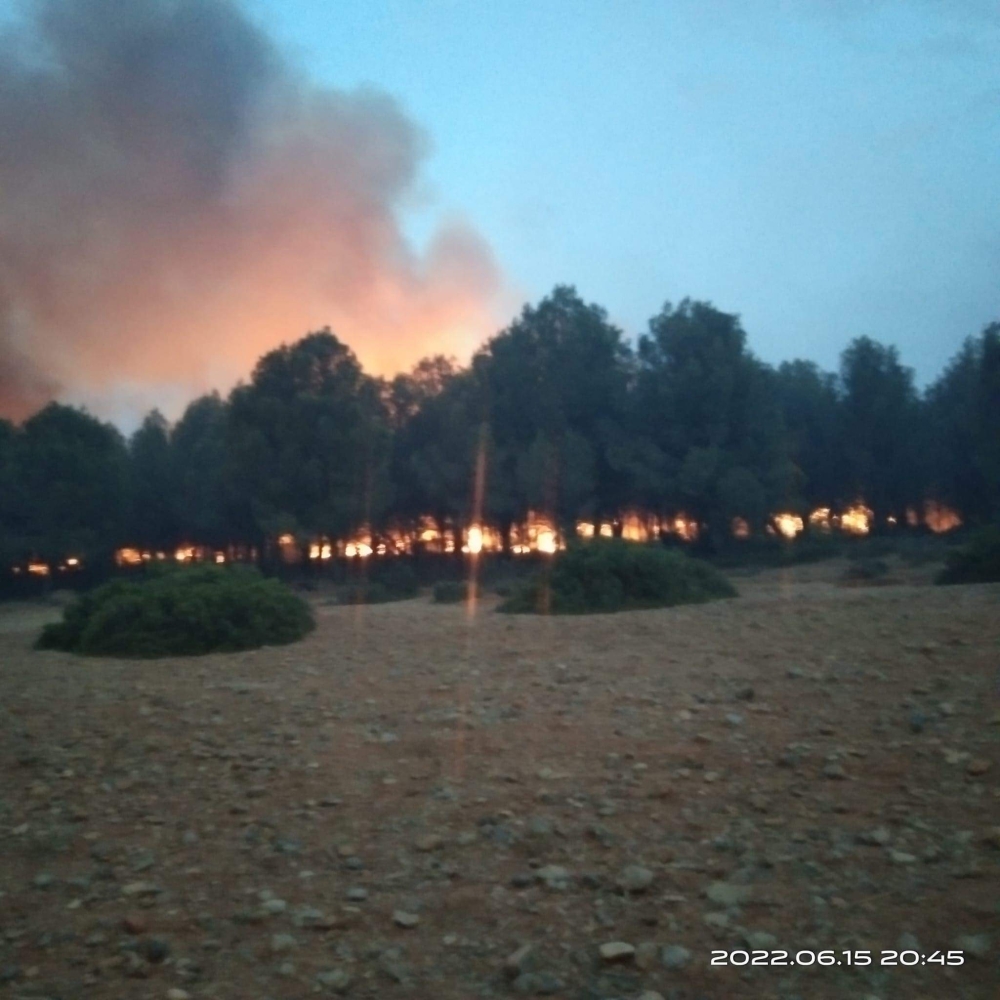 الرياح القوية والحرارة المرتفعة وراء اندلاع حريق غابوي في تازة