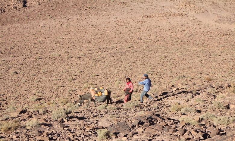 الطاقة المتجددة في المغرب.. ضرورة إشراك المجتمعات المحلية
