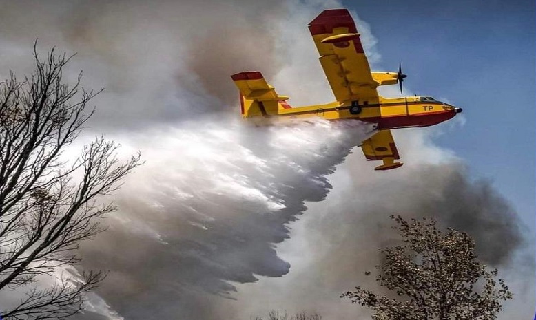 العرائش: تحويط حريق غابة بني يسف آل سريف بـ "صفة تامة"