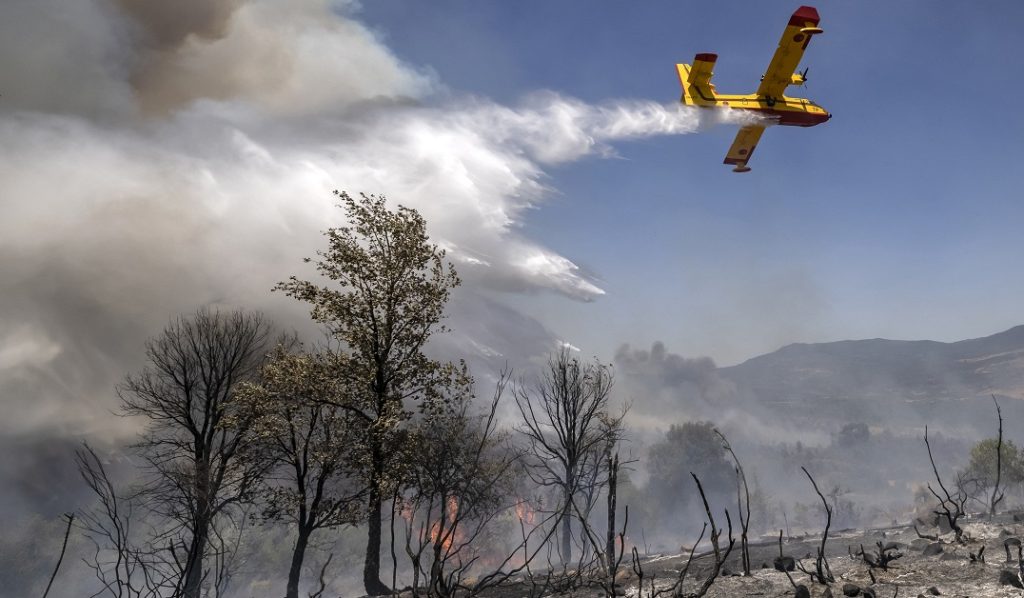 المغرب يتسلم طائرة كنادير جديدة لمواجهة الحرائق الغابوية