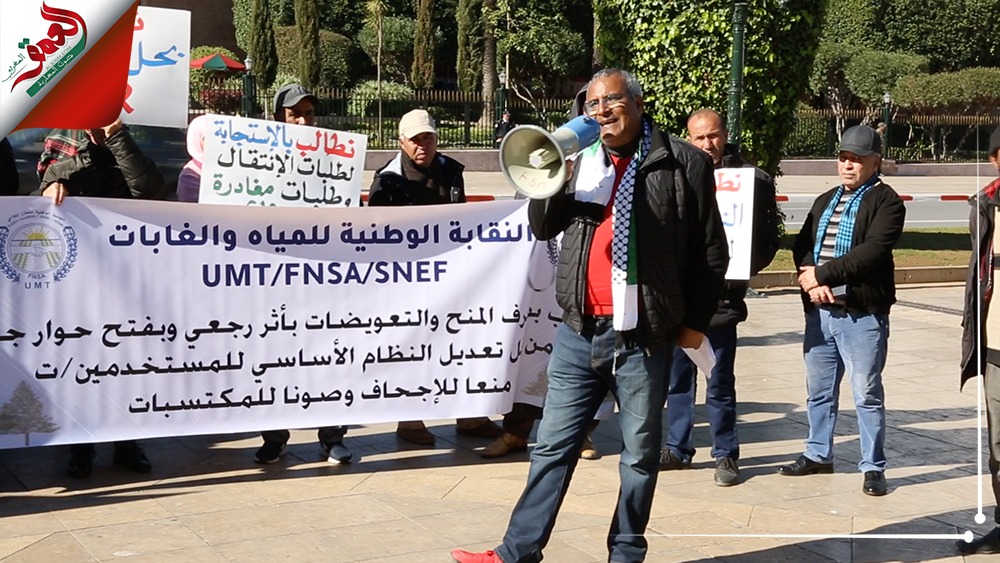 النقابة الوطنية للمياه والغابات تضرب عن العمل غدا الخميس