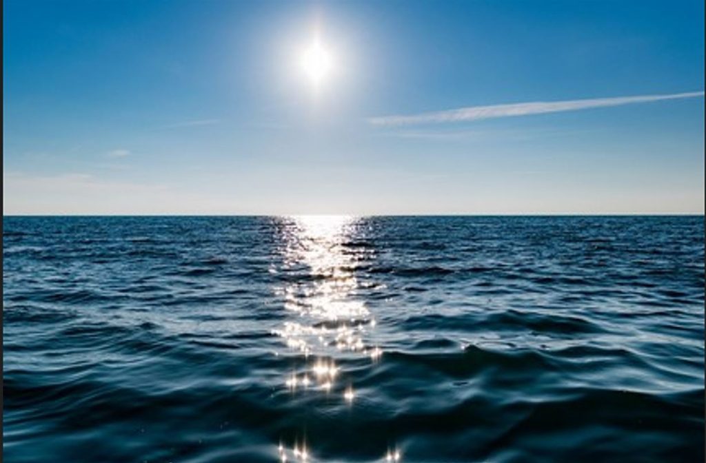 باحثون يحذرون من احتمال ظهور كائنات غريبة على الشواطئ بسبب ارتفاع حرارة المتوسط