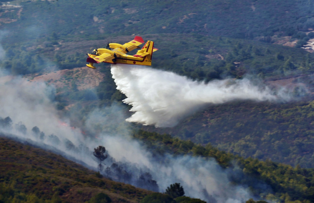 بعد 4 ايام .. السيطرة على حريق غابة "أكمسان" بجماعة باب برد بشفشاون بعد 4 ايام .. السيطرة على حريق غابة "أكمسان" بجماعة باب برد بشفشاون