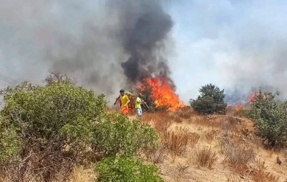 تارودانت: رقعة الحرائق تتوسع والسلطات تستعين بمروحيات وتخلي دواوير من أهاليها