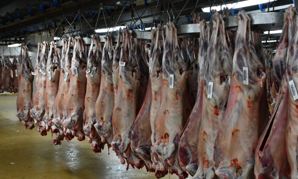 تتويج مجازر الدار البيضاء بشهادة الجودة ISO للمرة الخامسة على التوالي