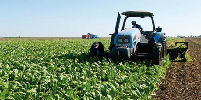 تدابير استثنائية للحد من تأخر التساقطات المطرية بجهة طنجة-تطوان-الحسيمة