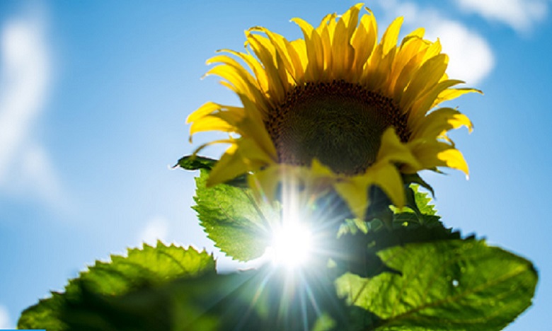 توقعات أحوال الطقس اليوم الاثنين.. أجواء جد مشمسة