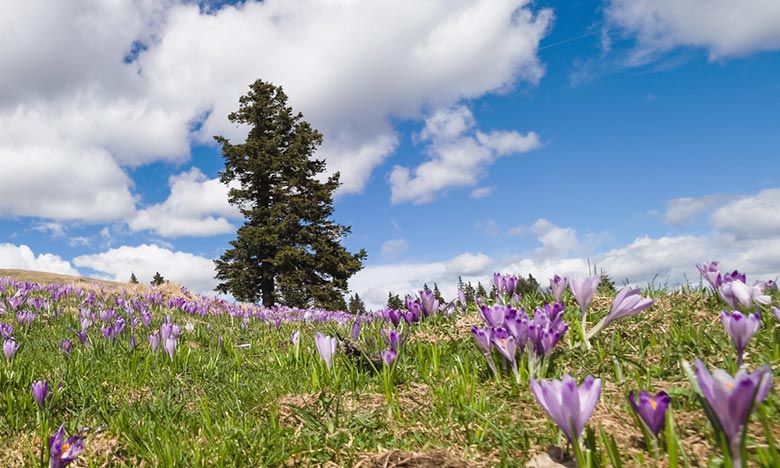 توقعات أحوال الطقس اليوم الخميس