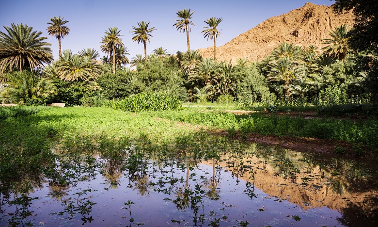 توقعات أحوال الطقس لليوم الجمعة