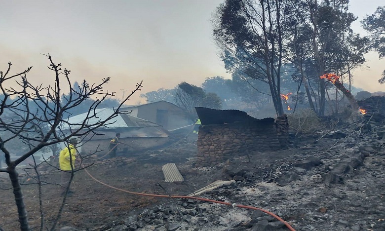 حريق غابة بني ايدر بإقليم تطوان.. الخسائر طالت 220 هكتارا واستقدام تعزيزات إضافية لتعزيز جهود الإطفاء (مصادر محلية)