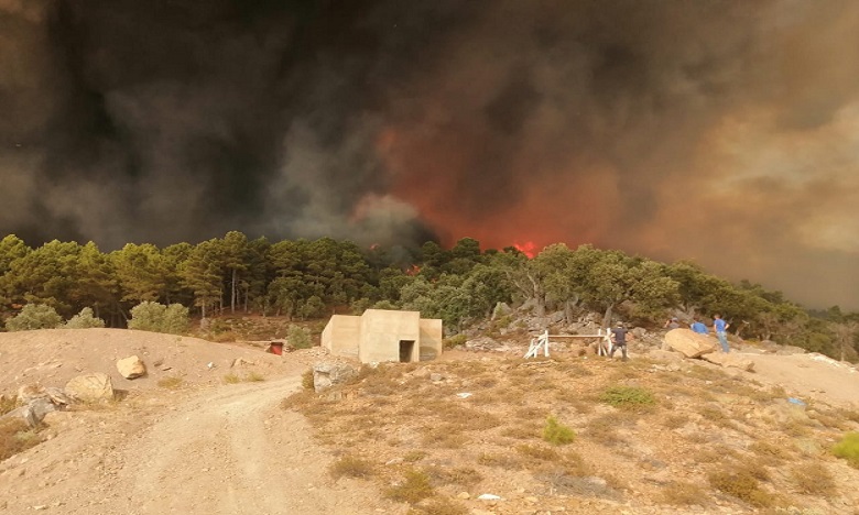 حريق غابة "جبل سوكنا" بشفشاون يلتهم 725 هكتارا والمجهودات متواصلة لإخماده
