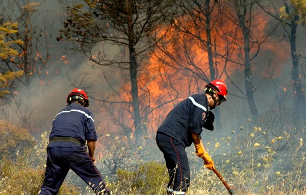 حملة تحسيسية حول حرائق الغابات في الحسيمة