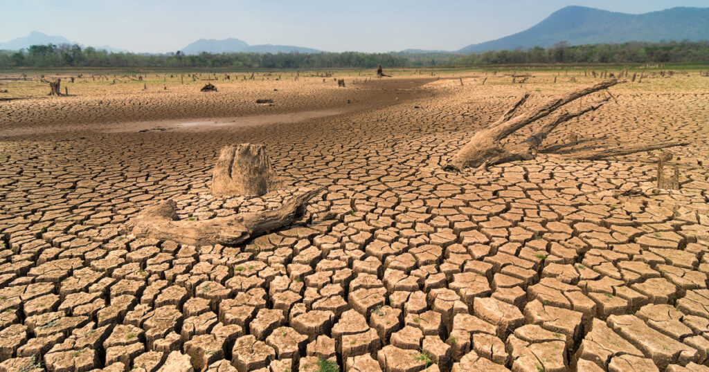 سلا .. إبراز دور المرأة في التدبير المستدام للأراضي ومكافحة التصحر والحفاظ على التنوع البيولوجي