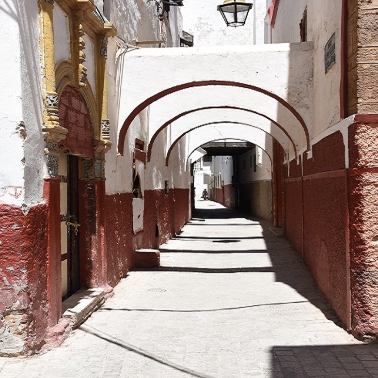 تصوير: محسن كرتوش