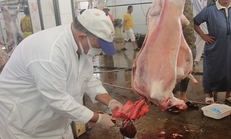 عيد الأضحى: اونسا تعرض أبرز مهامها خلال عمليات المراقبة عيد الأضحى: اونسا تعرض أبرز مهامها خلال عمليات المراقبة