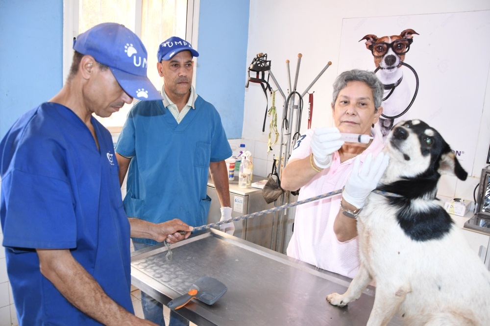 ملجأ بوسكورة لحماية الحيوان.. ليس كل ما ينبح شرسا ملجأ بوسكورة لحماية الحيوان.. ليس كل ما ينبح شرسا