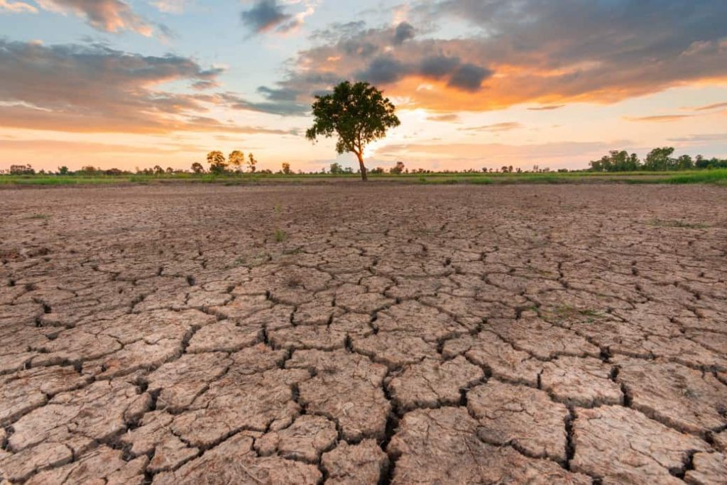 وزارة التجهيز والماء.. تدابير استباقية وآنية لمواجهة تداعيات الجفاف وتأمين التزويد بالماء وزارة التجهيز والماء.. تدابير استباقية وآنية لمواجهة تداعيات الجفاف وتأمين التزويد بالماء