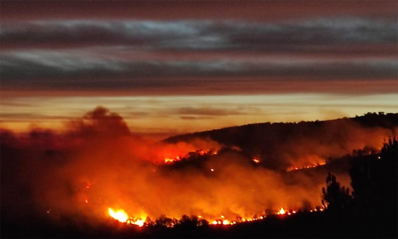 أتى على 8 هكتارات من الغطاء النباتي .. تعئبة طائرتي كنادير لإخماد حريق غابة بوهاشم بإقليم العرائش