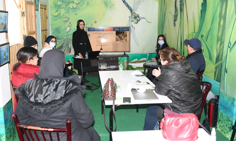 تصوير: سرادني