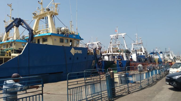 أكادير..تحذيرات مندوبية الصيد من صدفيات "كاب غير" لوجود سموم بيولوجية بحرية