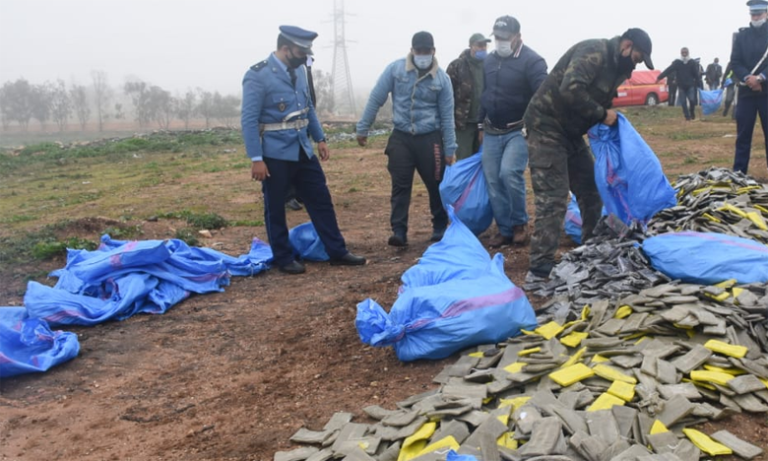 تصوير : الصديق