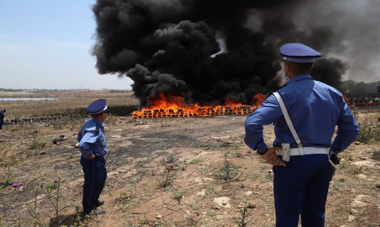 إتلاف حوالي 14 طنا من مخدر الشيرا بالداخلة