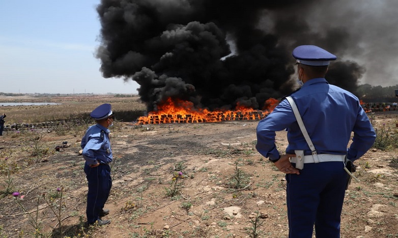 إتلاف حوالي 14 طنا من مخدر الشيرا بالداخلة