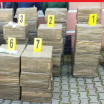 إحباط محاولة للتهريب الدولي للمخدرات بالقنيطرة: حجز شحنات إضافية من مخدر الشيرا بلغ وزنها الإجمالي ستة أطنان و902 كيلوغرام