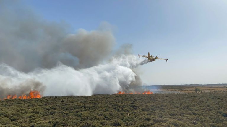 إفران.. تحويط 4 بؤر رئيسية للحرائق الغابوية بجماعة بن صميم