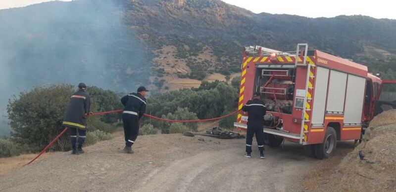 إقليم تازة.. جهود متواصلة للسيطرة على حريق غابة "باب ازهار" وتعبئة مستمرة لإسعاف ساكنة الدواوير المعنية (مصادر محلية)