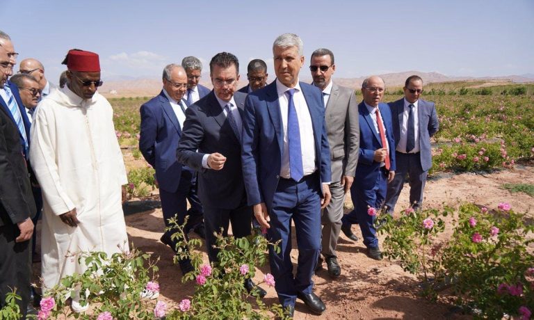 إقليم تنغير..صديقي يقوم بزيارة ميدانية لمشاريع مرتبطة بسلسلة الورد العطري