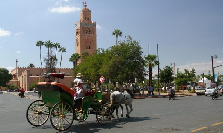 اختلالات وتجاوزات بمشروع عقاري يهم انجاز آلاف الشقق تهدد الحزام الأخضر بمنطقة أكدال بمراكش