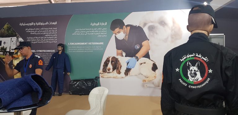 الأبواب المفتوحة للأمن الوطني بفاس .. الزوار يتعرفون عن قرب على مهام الشرطة السينوتقنية