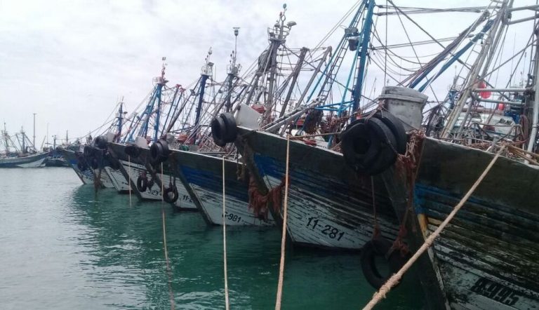 الأحوال الجوية تصعب حركة الملاحة داخل عدد من الموانئ جنوب المملكة