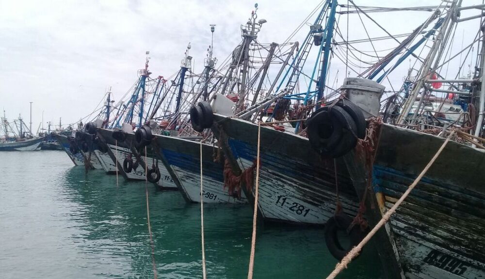 الأحوال الجوية تصعب حركة الملاحة داخل عدد من الموانئ جنوب المملكة