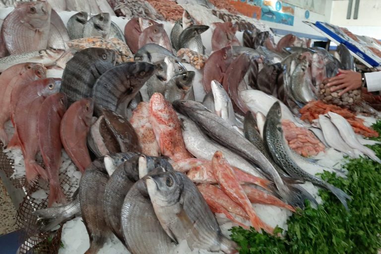 الأسعار تلهب جيوب مستهلكي الأسماك في بداية شهر الصيام