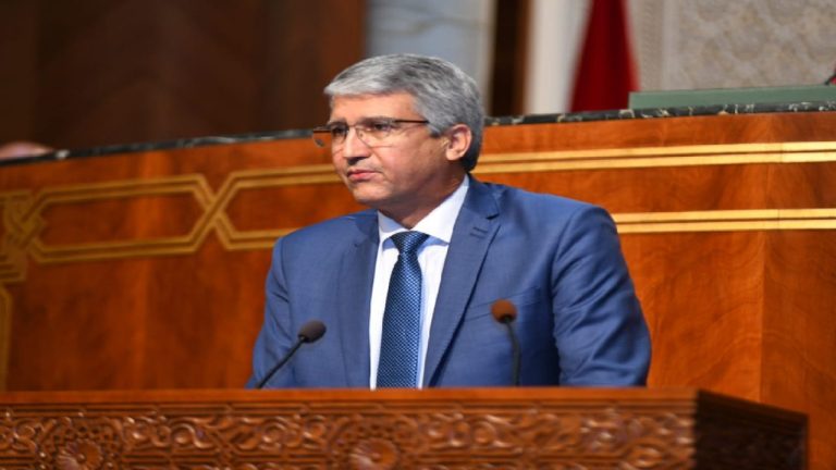 التساقطات الأخيرة ساهمت في تحسين الغطاء النباتي وضمان سير الزراعات الربيعية