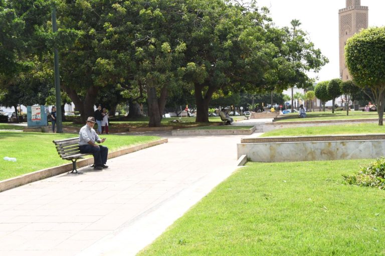 تصوير: عيسى سوري