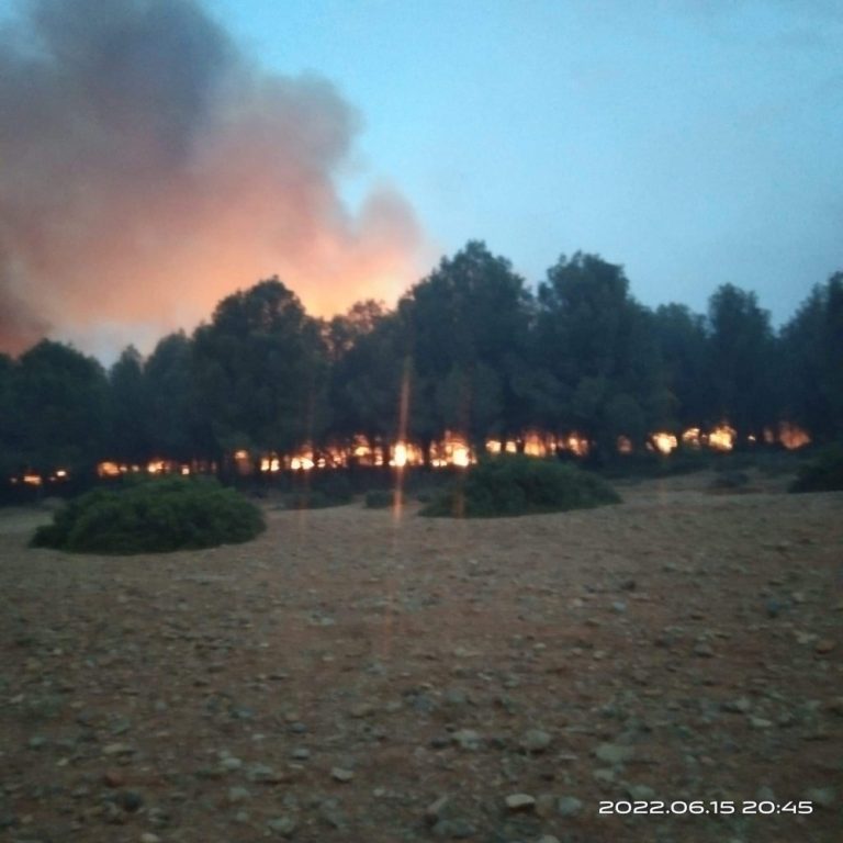 الرياح القوية والحرارة المرتفعة وراء اندلاع حريق غابوي في تازة