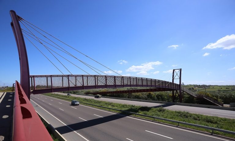 الطرق السيارة .. السير والتوقف على شريط التوقف الاستعجالي ممنوعان