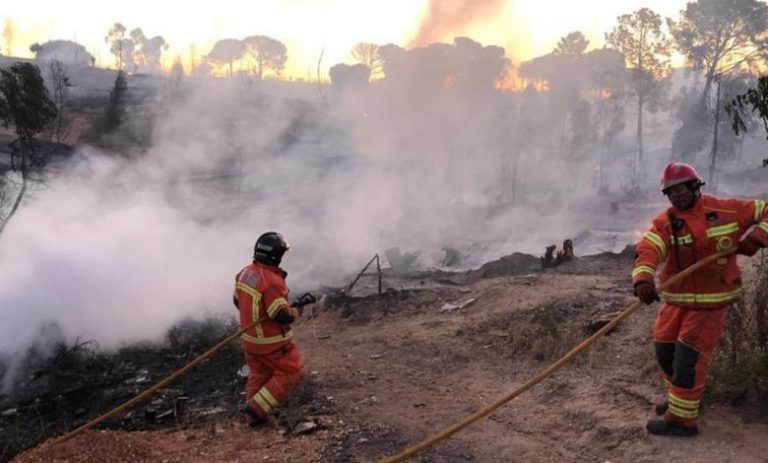 العرائش: تواصل التعبئة للسيطرة على الحريق المسجل بغابة "بوهاشم جبل العلم"