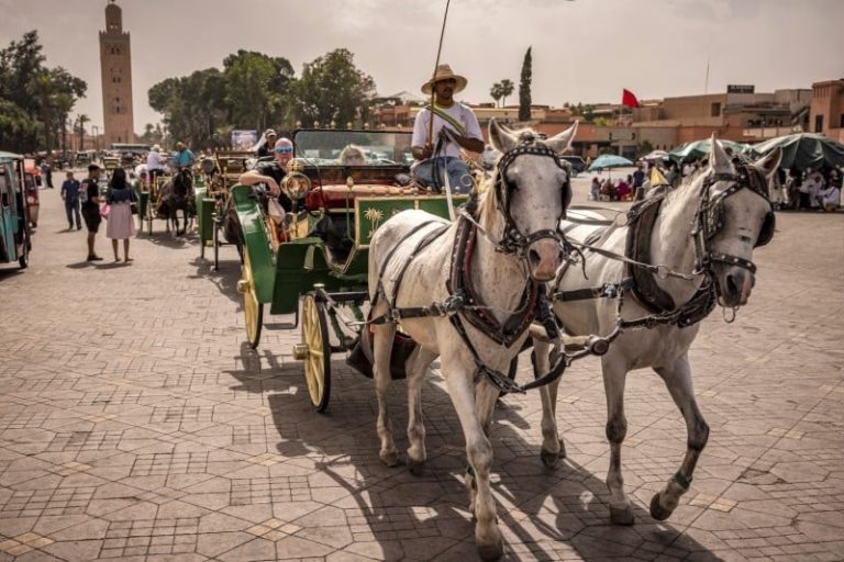 النموذج السياحي المغربي يراهن على التكيف مع الأحداث والتحولات العالمية